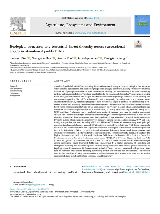 Ecological structures and terrestrial insect diversity across successional stages in abandoned paddy fields